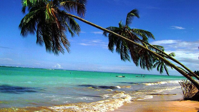Em São Miguel dos Milagres, na Rota Ecológica dos Milagres, o mar calmo e cristalino se estende por longas faixas de areia cercadas por coqueiros e pousadas pé na areia, ideal para casais que buscam sossego sem abrir mão do visual caribenho.