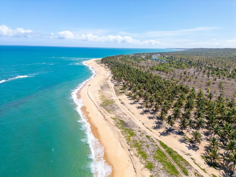 Para quem quer virar o ano com os pés na areia, Maceió entrega praias de águas claras, festas na orla e passeios para destinos próximos. Foto: Divulgação