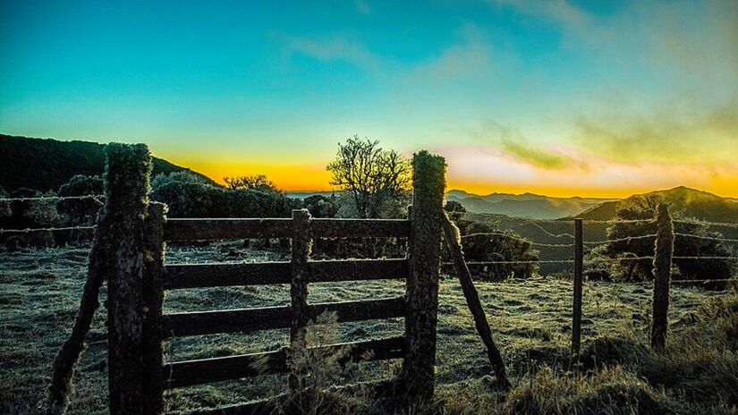 Um verdadeiro espetáculo da natureza acontece anualmente entre os meses de março e junho com a Revoada do Papagaio-Charão atraindo cerca de 20 mil aves que migram para a região das araucárias em busca de pinhões. Esse evento transforma Urupema em um destino imperdível para fotógrafos e observadores de aves que buscam registrar a interação da fauna com a flora típica da serra catarinense em um momento único de preservação e beleza.