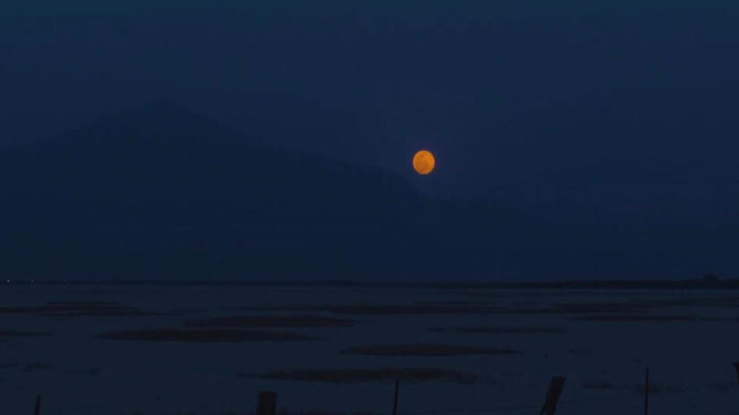 Observar a Lua de Sangue não exige equipamentos profissionais, o que torna o fenômeno acessível a curiosos e entusiastas da astronomia (Fotos: Youtube/Reprodução)