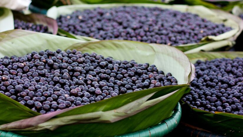 Belém conquista destaque global ao entrar na lista da Lonely Planet com uma gastronomia descrita como "uma explosão de história, ciência e arte" (Foto: Camila Neves Rodrigues da Silva/Wikimedia Commons)