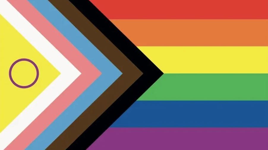 Nova Bandeira LGBT+ Inclui Símbolos Trans, Intersexo E Antirracismo ...