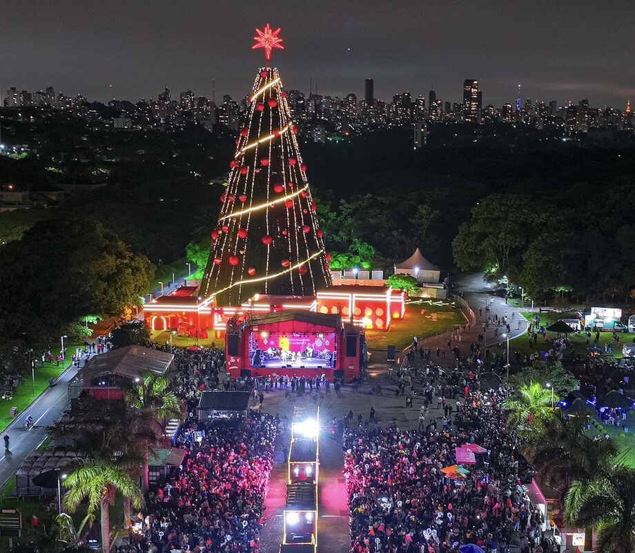 Natal em São Paulo: confira as atrações natalinas pela cidade