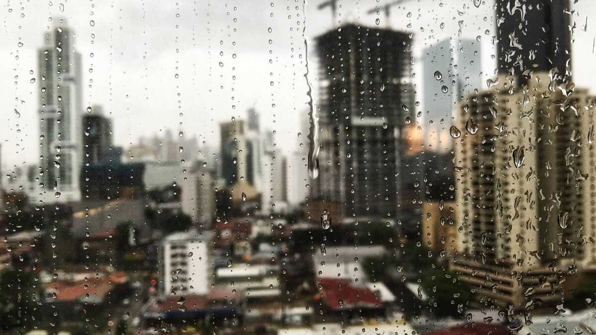 Conheça 5 opções para fazer em São Paulo em um dia de chuva - Gazeta de ...