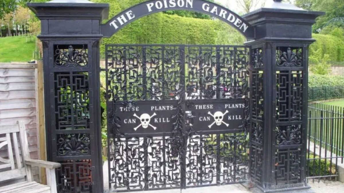O jardim onde o toque pode ser mortal: conheça o Poison Garden e o perigo oculto em casa