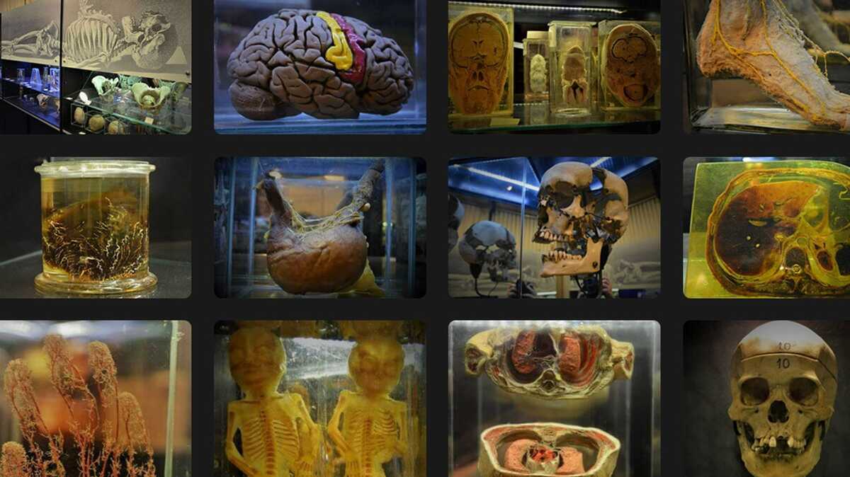 4 museus fora do lugar-comum para conhecer na cidade de São Paulo