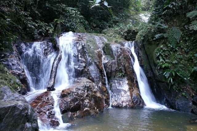 Trilha da Cachoeira da Usina