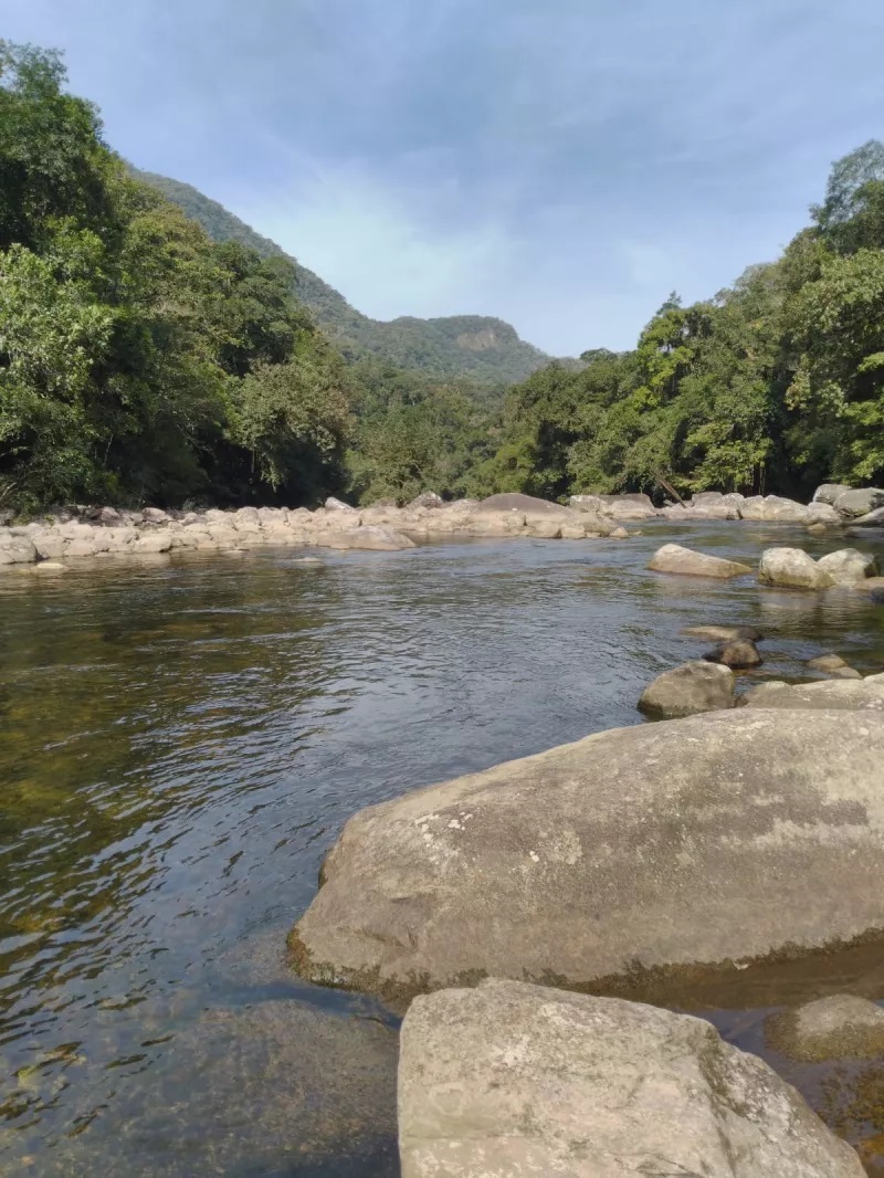 Trilha da Cachoeira do Elefante