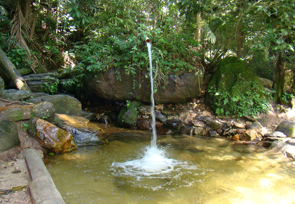 Parque do Jaraguá está entre os locais com atividades 