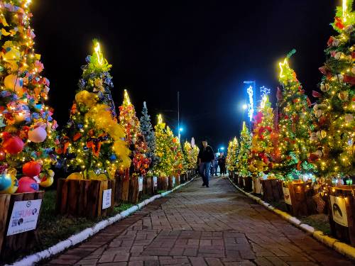 Natal dos Sonhos de Campos do Jordão