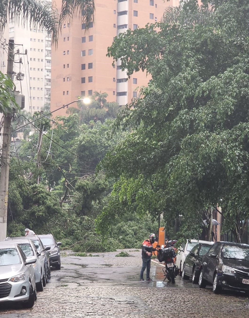 Queda de árvore em Moema deixa moradores sem fornecimento de energia elétrica. 