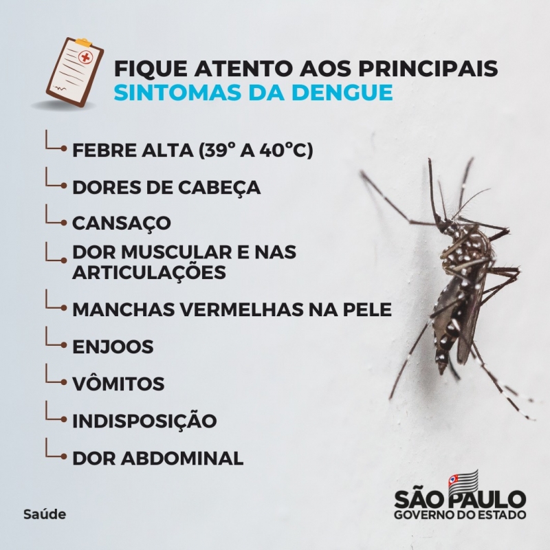 sintomas de dengue