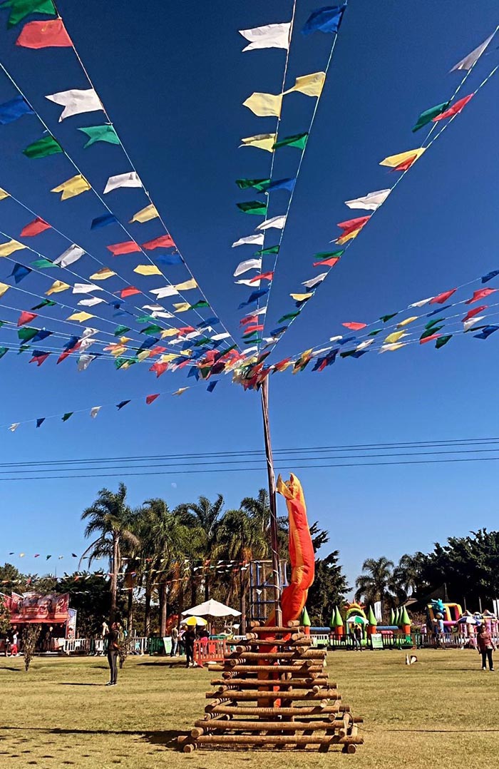 Arraiá do Família no Parque Villa-Lobos