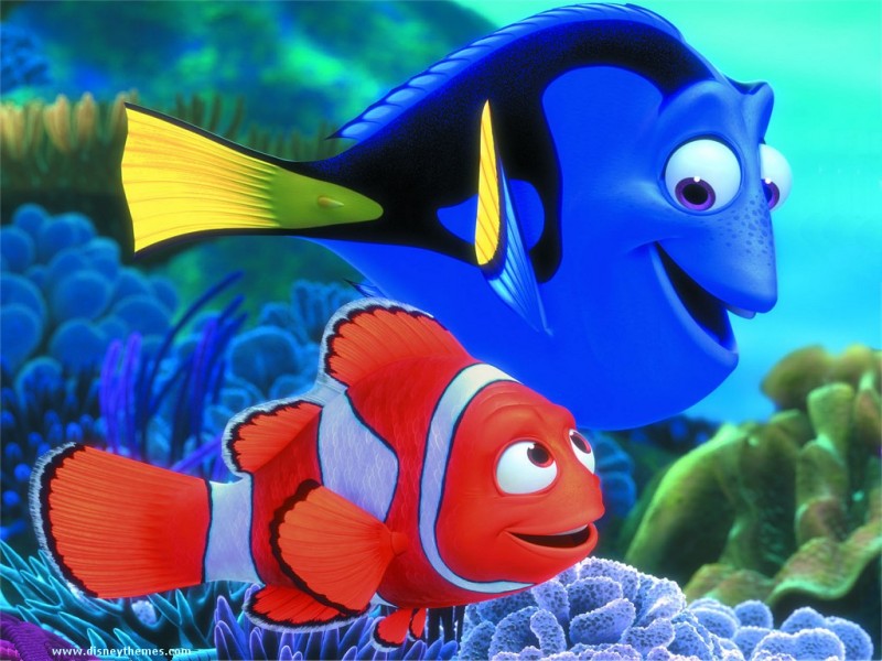 Procurando nemo