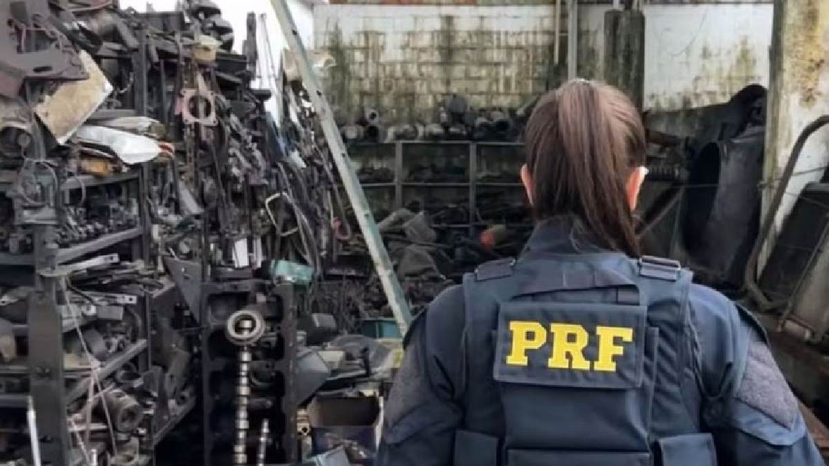 PRF atuou em operação na Baixada Santista