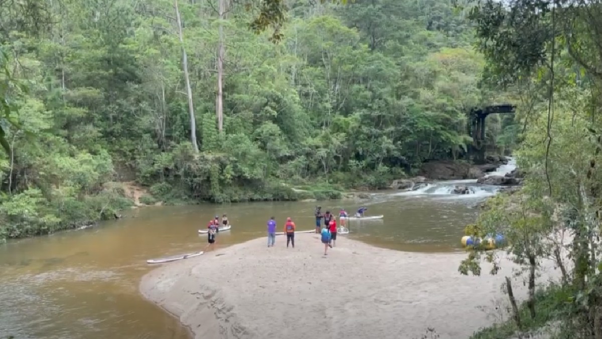 Selva SP oferece programas para quem gosta de adrenalina