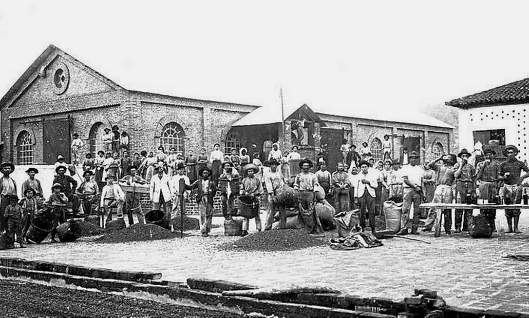 Trabalhadores posam antes da colheita de 1909