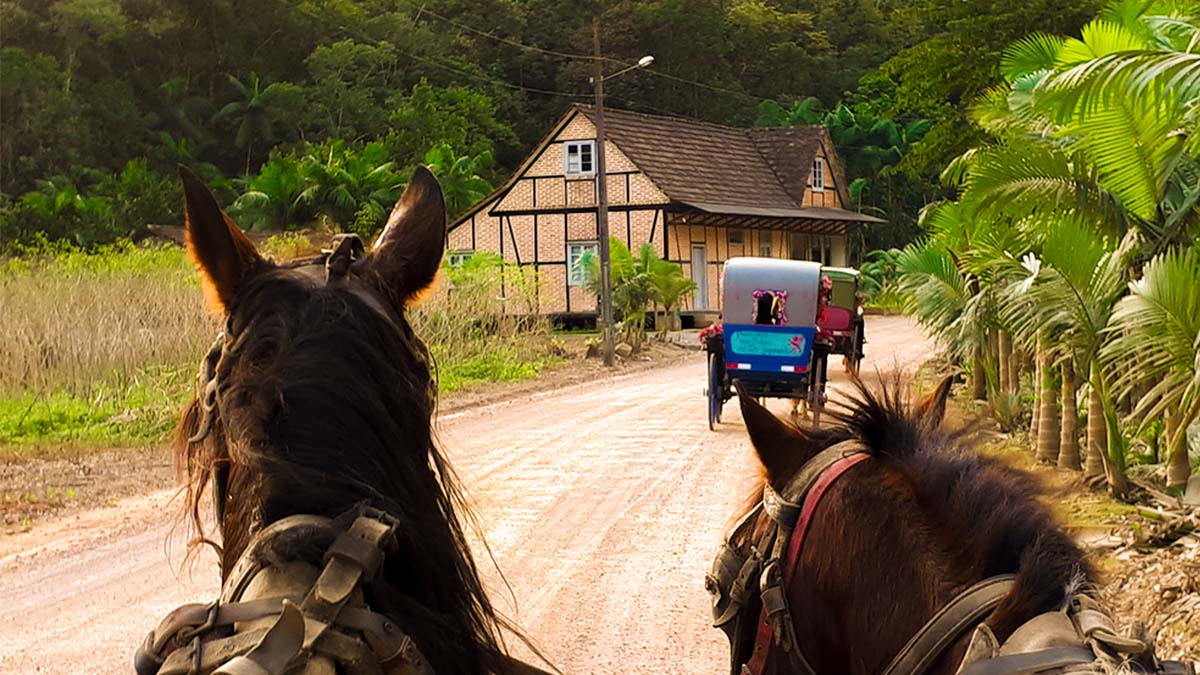 Turismo rual no Vale Europeu, Santa Catarina