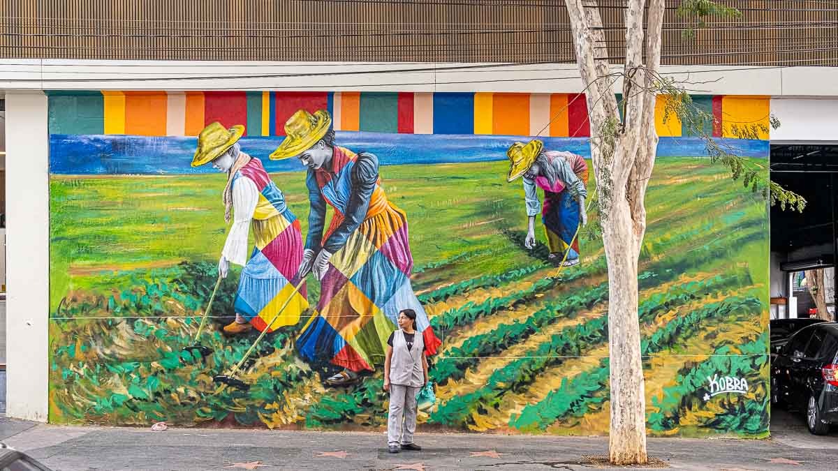 Novo painel do artista Eduardo Kobra, na Santa Cecília