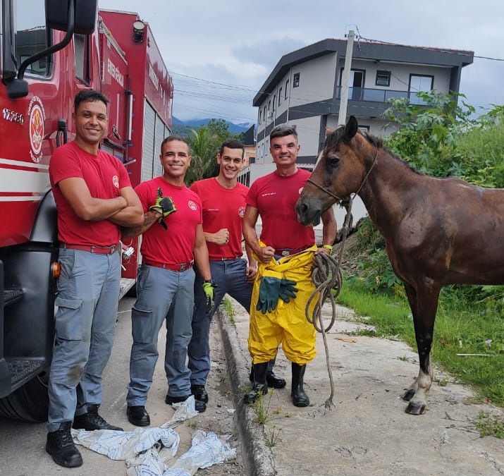 Bombeiros posam ao lado do cavalo