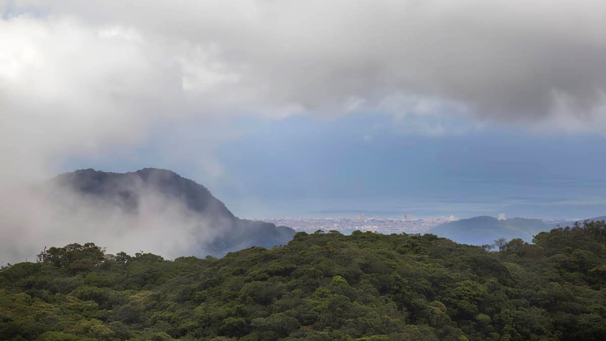 Mirante da Serra do Mar