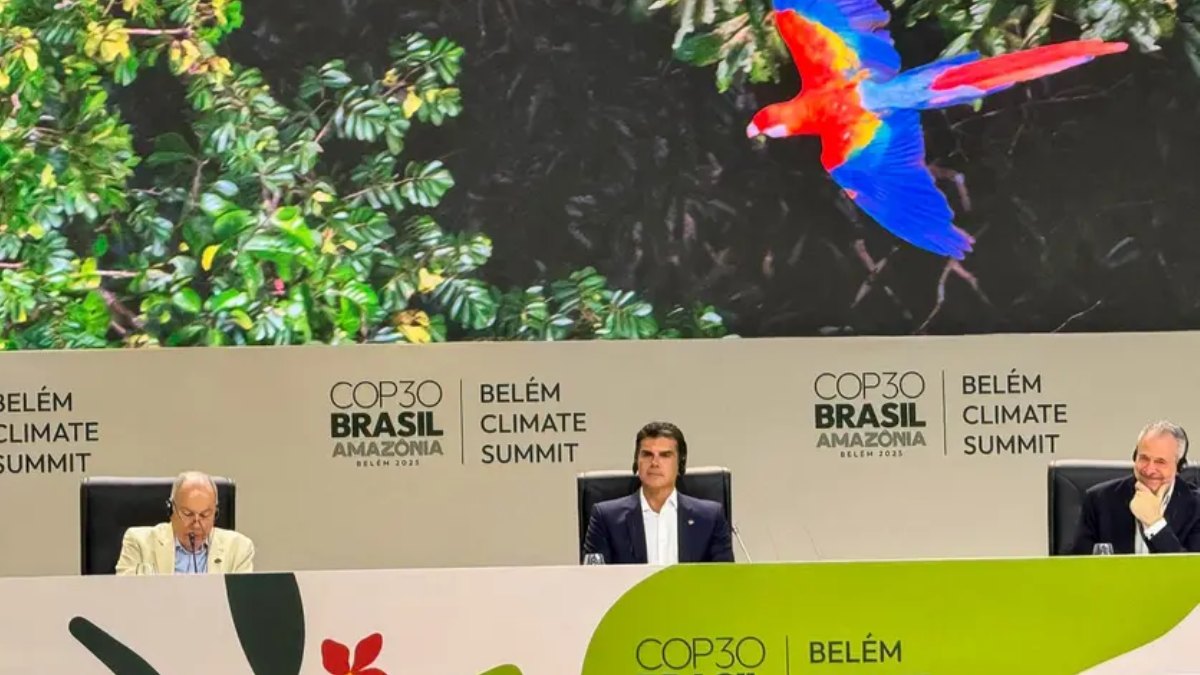 A forte participação popular demonstrou o engajamento na pauta ambiental.