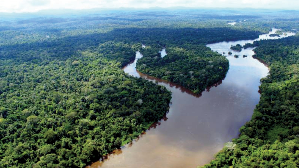Os indicadores são divulgados às vésperas da COP30 e embasam a narrativa de transição ecológica com metas, governança e entrega mensurável. (Foto: Arquivo/Agência Pará)