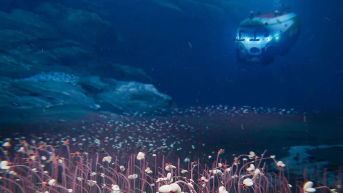 Biodiversidade marinha surpreende cientistas com organismos desconhecidos pela ciência — Divulgação: Ocean Census