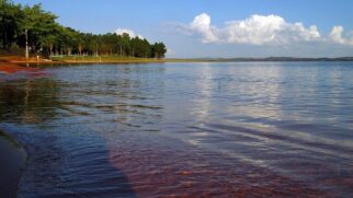 Praia no camping municipal de Avaré mostra como a represa cria um clima de litoral longe do mar (Foto: José Reynaldo da Fonseca / Wikimedia Commons)