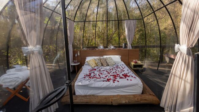 Cabana Home oferece bolha transparente cercada pela mata, além de cabanas de luxo no interior de São Paulo (Foto: Divulgação/Cabana Home)