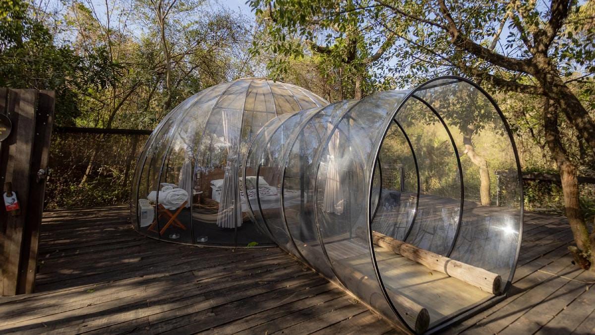 Cabana Home oferece bolha transparente cercada pela mata, além de cabanas de luxo no interior de São Paulo (Foto: Divulgação/Cabana Home)