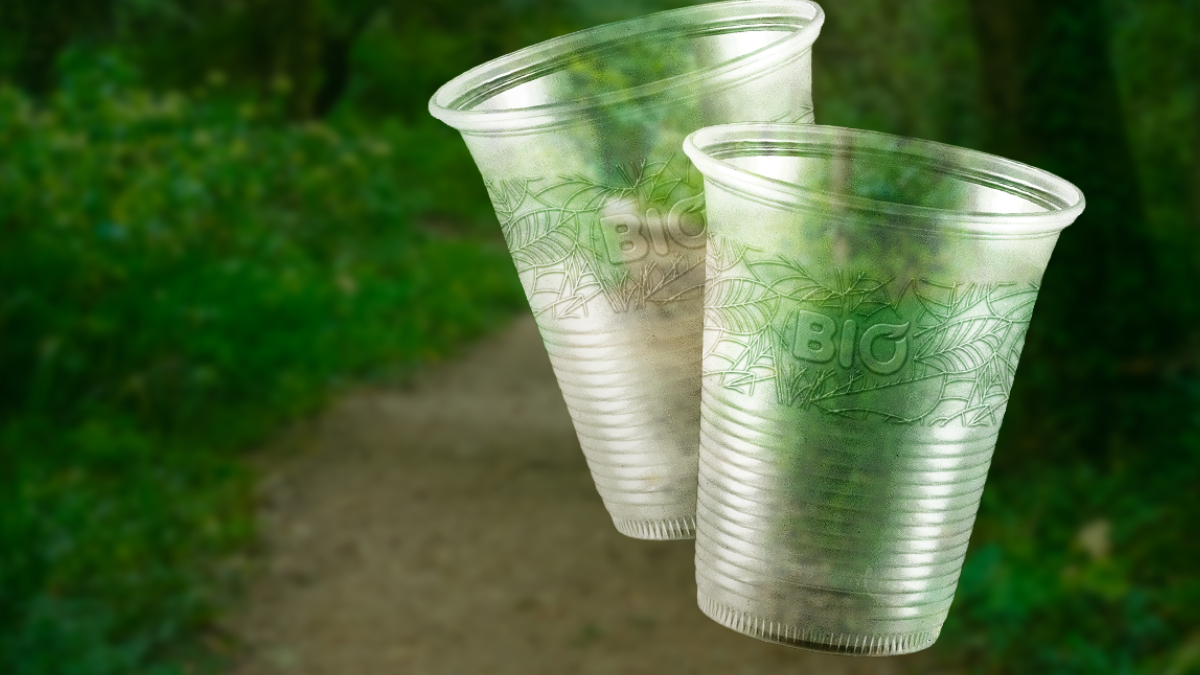 Linha biodegradável ajudou indústria catarinense a ampliar vendas e presença nacional (Foto: Copaza)