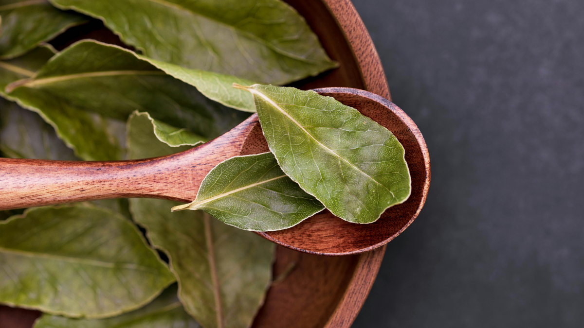 Folhas de louro espalhadas pela cozinha funcionam como alternativa natural contra insetos (Foto: Pexels)