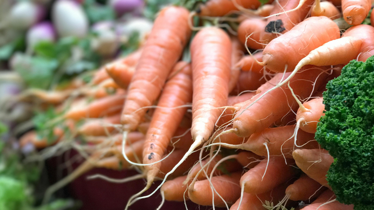 A colheita geralmente acontece entre 75 e 100 dias após o plantio, dependendo da variedade (Foto: Pexels)