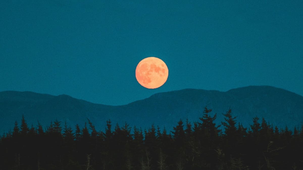 O fenômeno da lua de morango