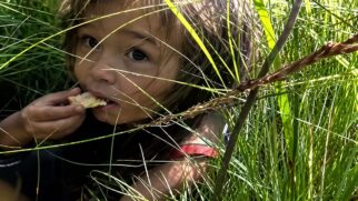 A história da menina que ficou 11 dias na floresta da Sibéria