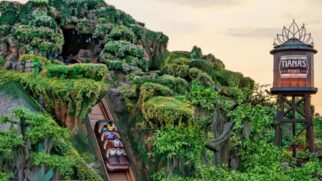 Vídeo flagra queda de 15m no brinquedo Tiana’s Bayou Adventure; perícia diz se nova atração da Disney na Califórnia falhou. Foto: Divulgação/Walt Disney World