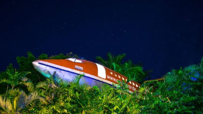 Entre a copa das árvores e a vista para o Oceano Pacífico, uma aeronave aposentada ganhou nova vida como uma suíte de luxo (Foto: Divulgação/727 FUSELAGE)