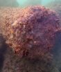 Cidade perdida no fundo do mar pode revelar segredo guardado sobre Cleópatra