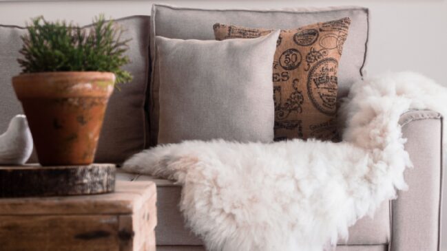 De plástico-bolha nas janelas a truques para aquecer a cama, veja alternativas para enfrentar o inverno sem gastar mais energia (Foto: Pexels)