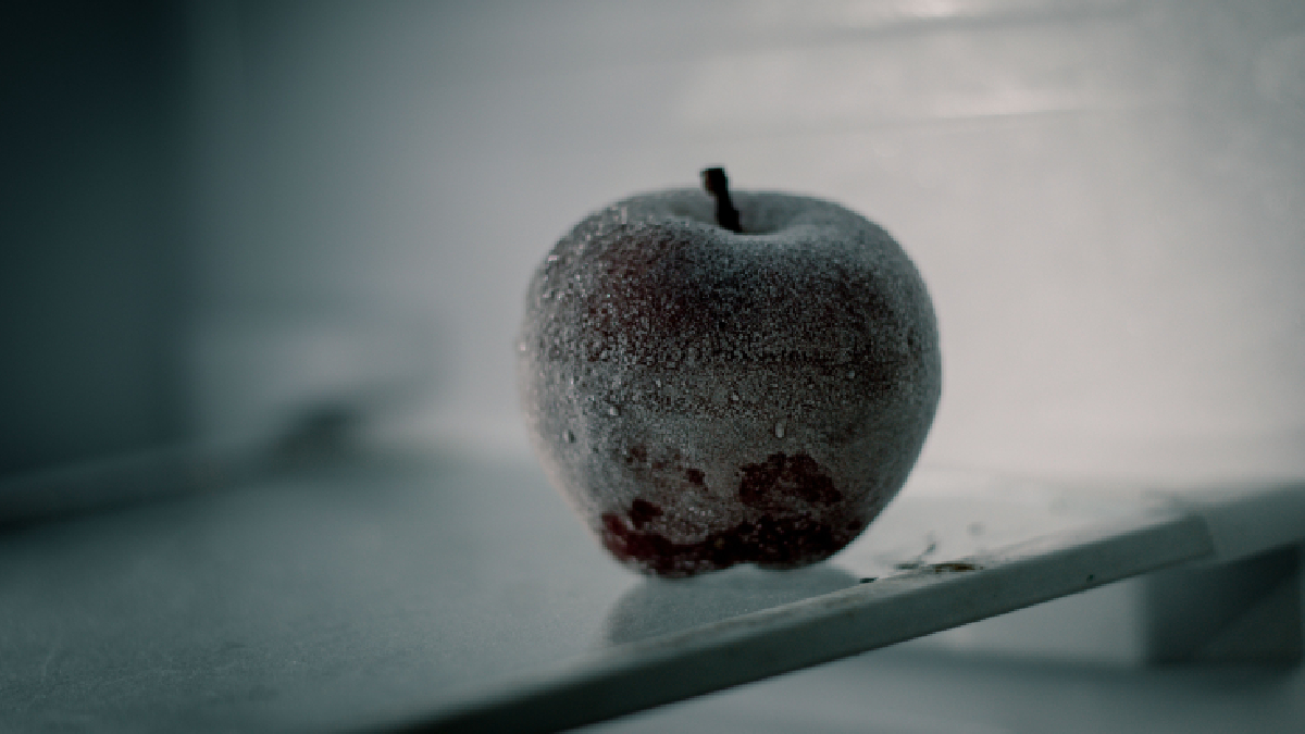 Manter o freezer livre de gelo melhora o desempenho do aparelho e facilita a organização dos alimentos (Foto: pratik prasad/ Pexels)