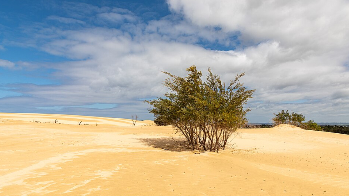 A mesma poeira que colore o céu pode alterar temperaturas, chuvas e até a fertilidade do solo (Foto: Dietmar Rabich/ Wikimedia Commons)