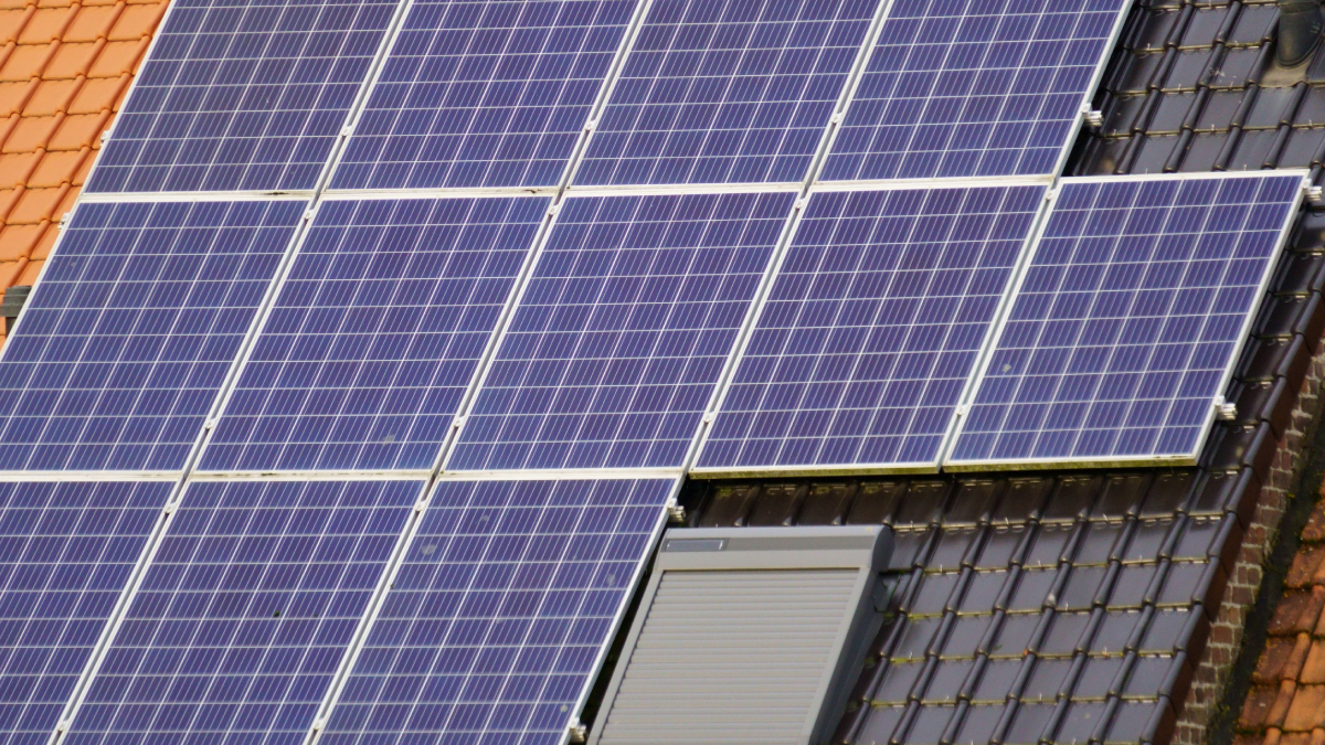 Mercado global de energia solar registra novo recorde em 2025, com destaque para China, Índia, Estados Unidos, Alemanha e Brasil (Foto: Budget Bizar/ Pexels)