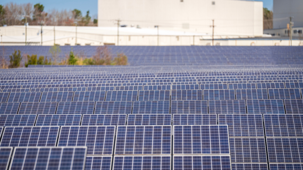 Nem só a China impulsionou o setor: novos mercados ganharam força e reforçam a expansão da energia limpa (Foto: Mark Stebnicki/ Pexels)