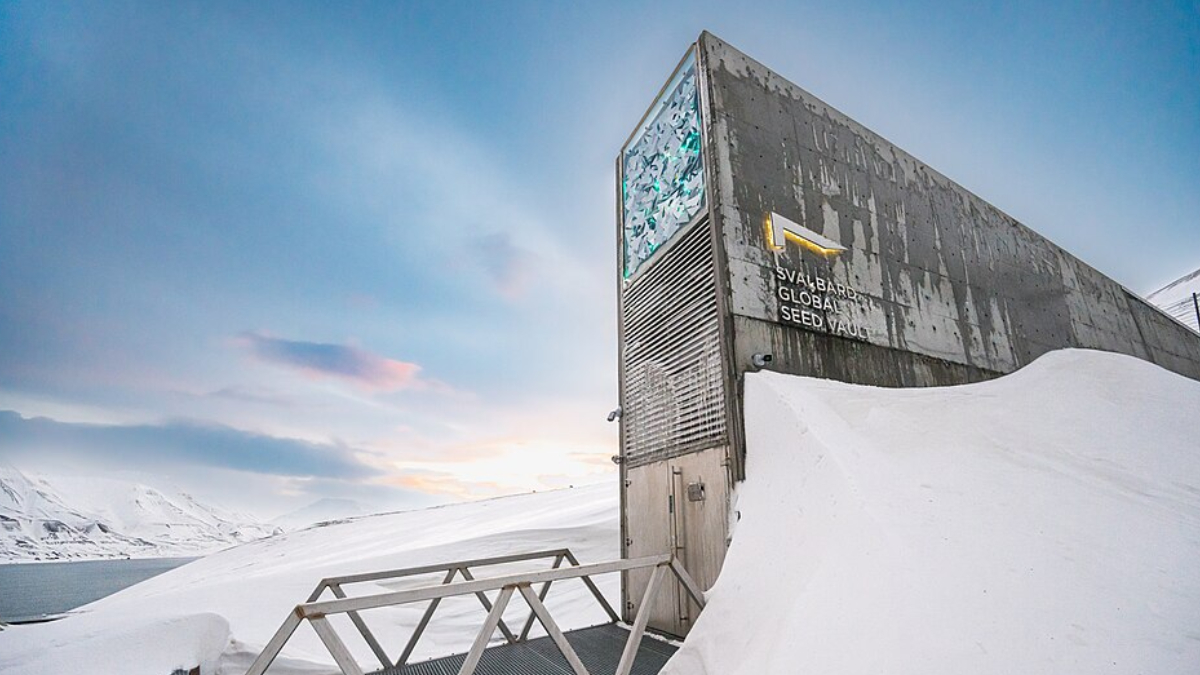 Construído próximo ao Polo Norte, o bunker funciona como uma reserva mundial para proteger espécies agrícolas (Foto: Michael Major/ Wikimedia Commons)