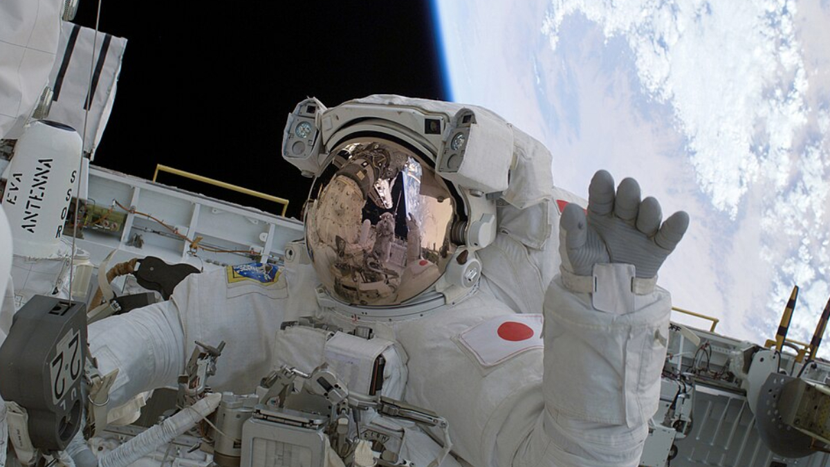 Desenvolvido para suportar condições extremas, o traje pode acompanhar astronautas nas próximas missões à Lua (Foto: NASA)