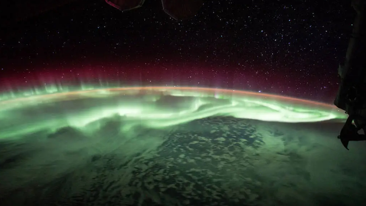 Vista privilegiada da aurora austral ajuda cientistas a compreender melhor os efeitos da atividade solar sobre a Terra (Foto: NASA)