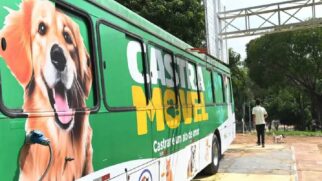 ônibus de castração de cães e gatos em campinas