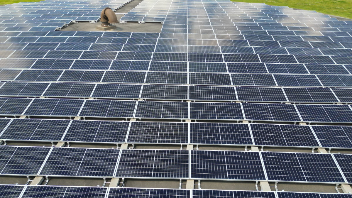 Painéis solares impulsionam um mercado que voltou a bater recorde de expansão em diferentes continentes (Foto: Giant Asparagus/ Pexels)
