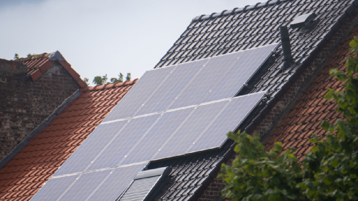 Com custos menores e maior eficiência, a energia solar alcançou um novo marco histórico de crescimento em 2025 (Foto: Budget Bizar/ Pexels)